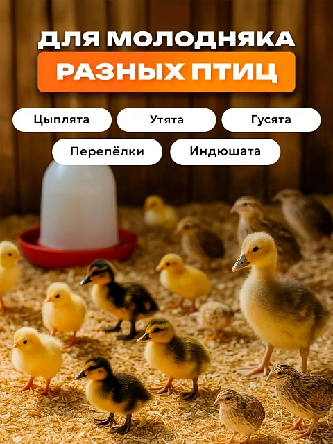 Коврик-обогреватель ТеплоМакс 50х25 см для животных, птиц, рептилий, с терморегулятором